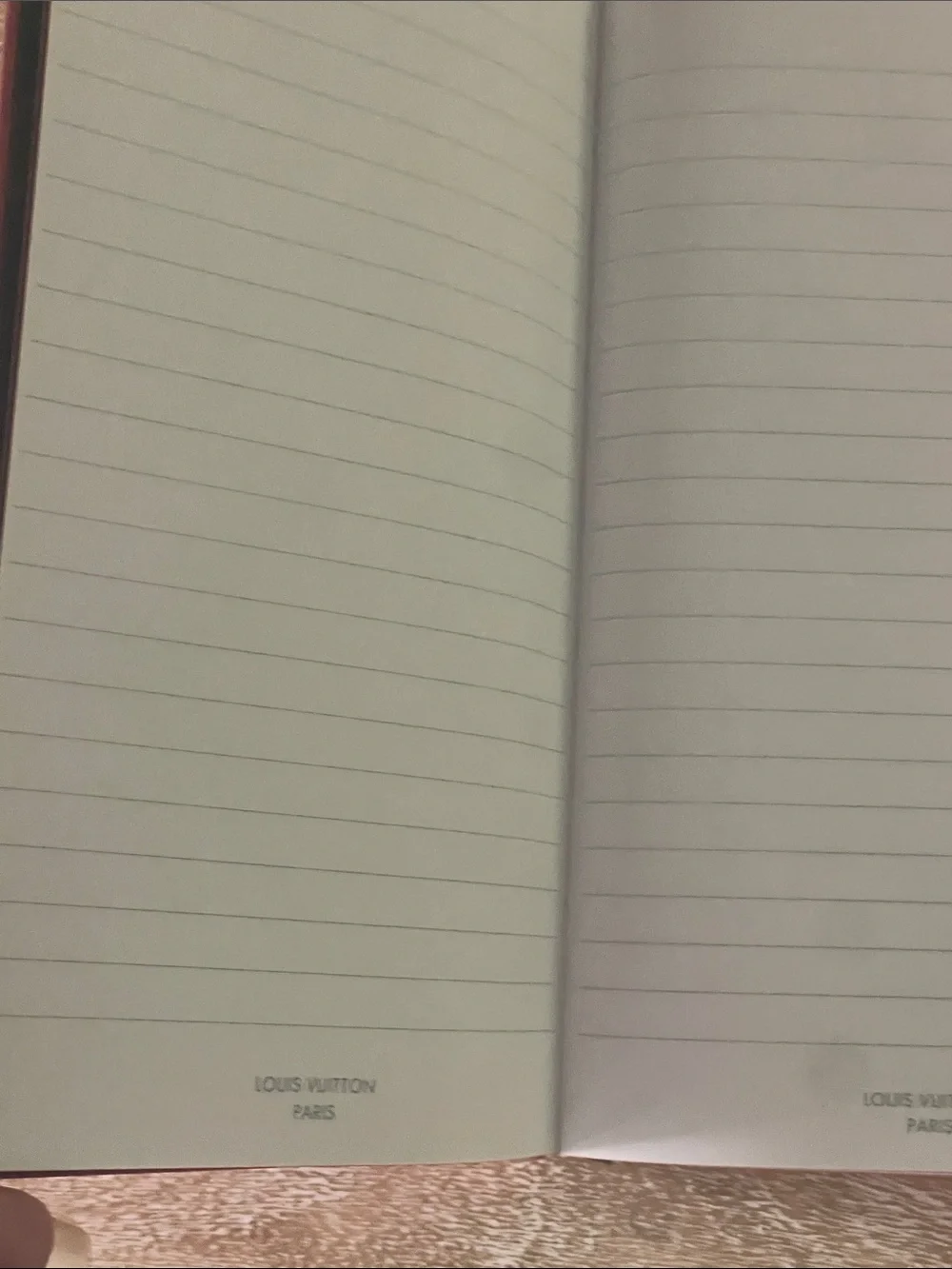 Louis Vuitton Jane Notebook MM in the vibrant Sari Red